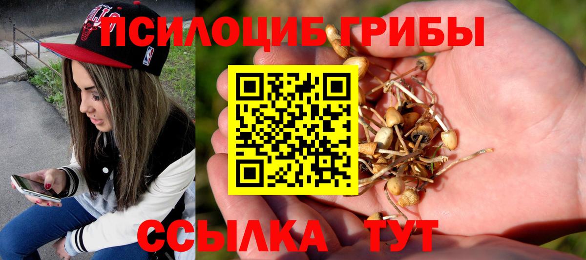 Псилоцибиновые грибы прущие грибы Туймазы