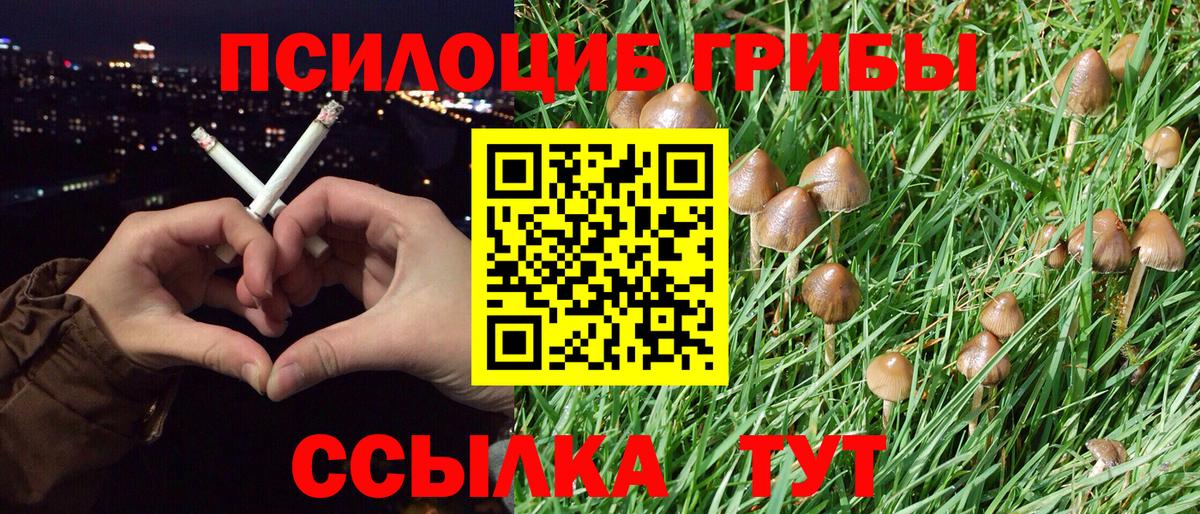 Псилоцибиновые грибы MAGIC MUSHROOMS  Вход с VPN  Туймазы  Галлюциногенные грибы Psilocybine cubensis 